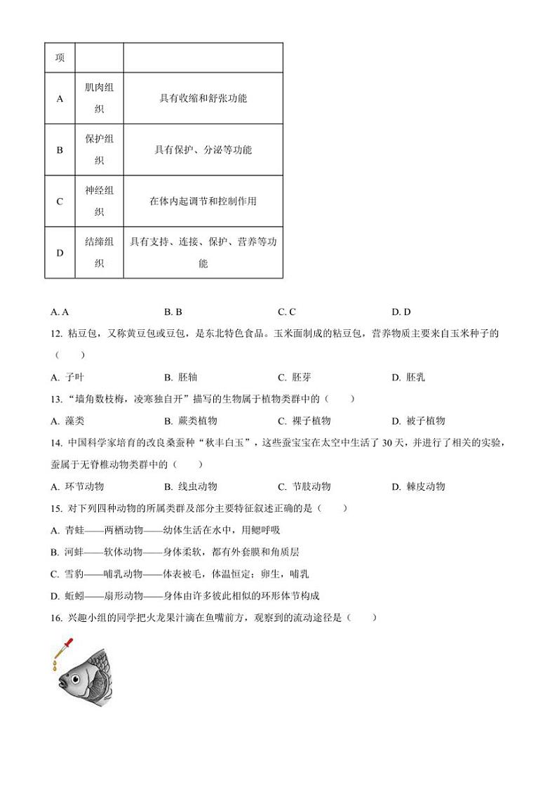 2024～2025学年吉林省长春市长春净月高新技术产业开发区七年级上期末生物试卷(含答案)第3页