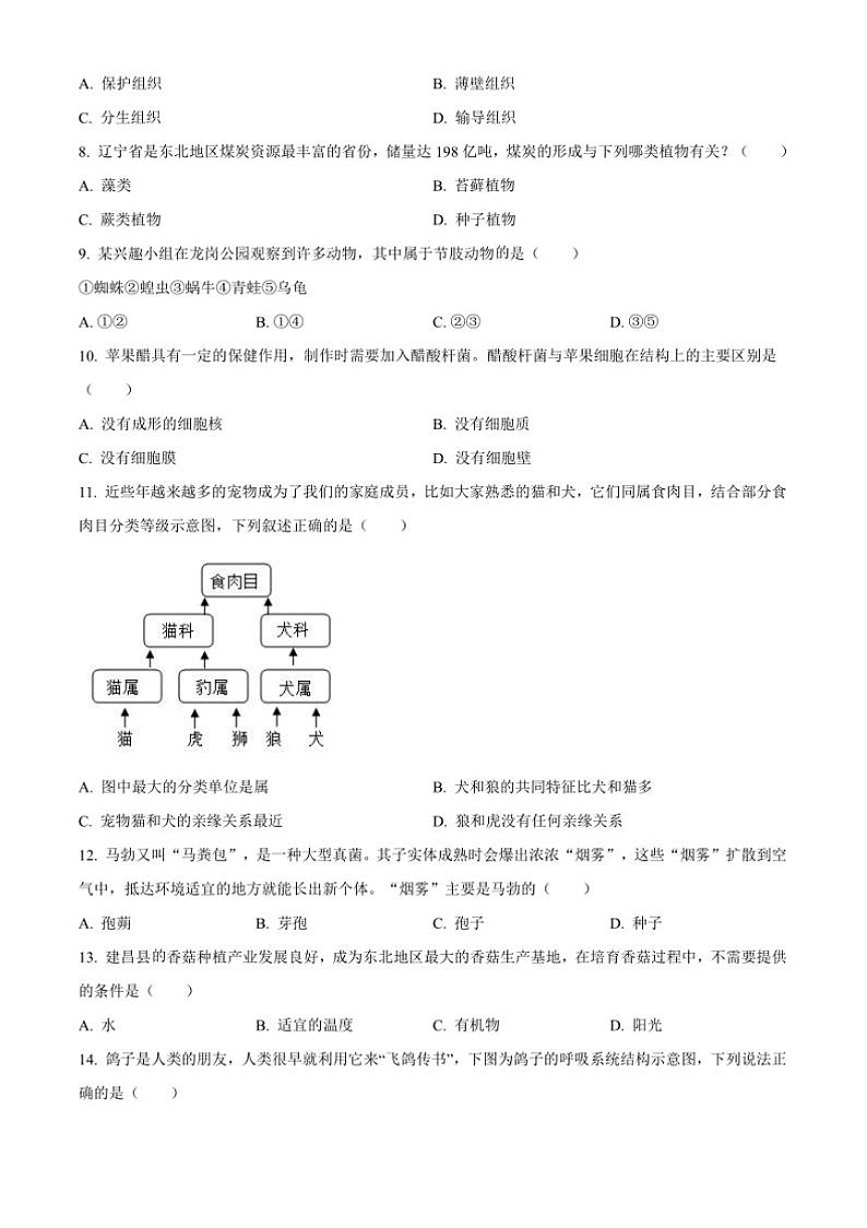 2024～2025学年辽宁省葫芦岛市七年级上期末生物试卷(含答案)第2页