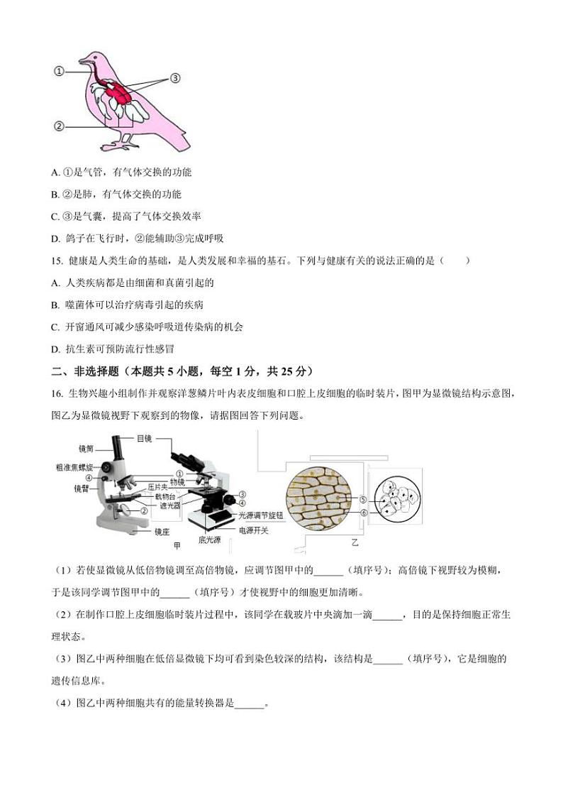 2024～2025学年辽宁省葫芦岛市七年级上期末生物试卷(含答案)第3页
