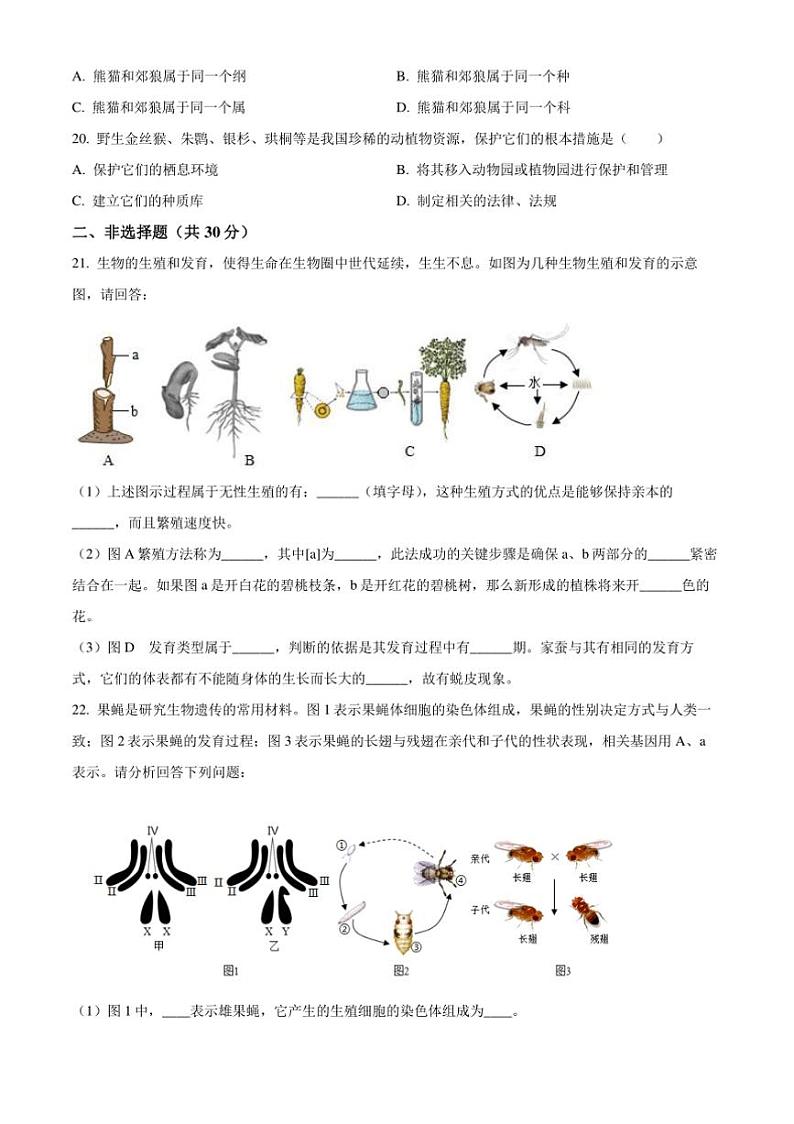 2024～2025学年吉林省四平市铁东区八年级上期末生物试卷(含答案)第3页