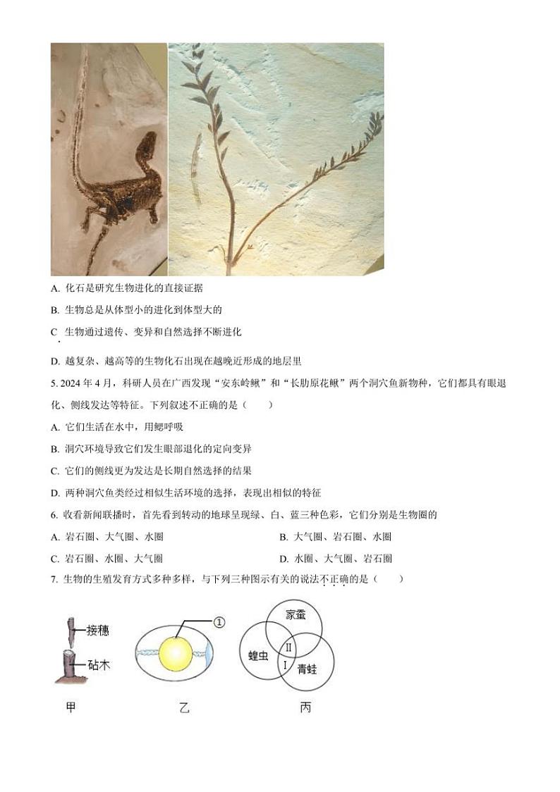 2024～2025学年辽宁省沈阳市皇姑区八年级上期末生物试卷(含答案)第2页