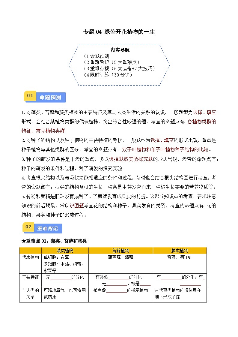 中考生物总复习专题04 绿色开花植物的一生（原卷版）第1页