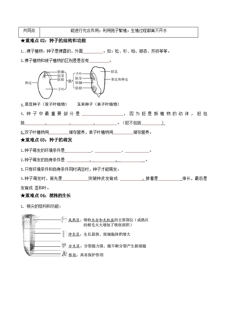 中考生物总复习专题04 绿色开花植物的一生（原卷版）第2页