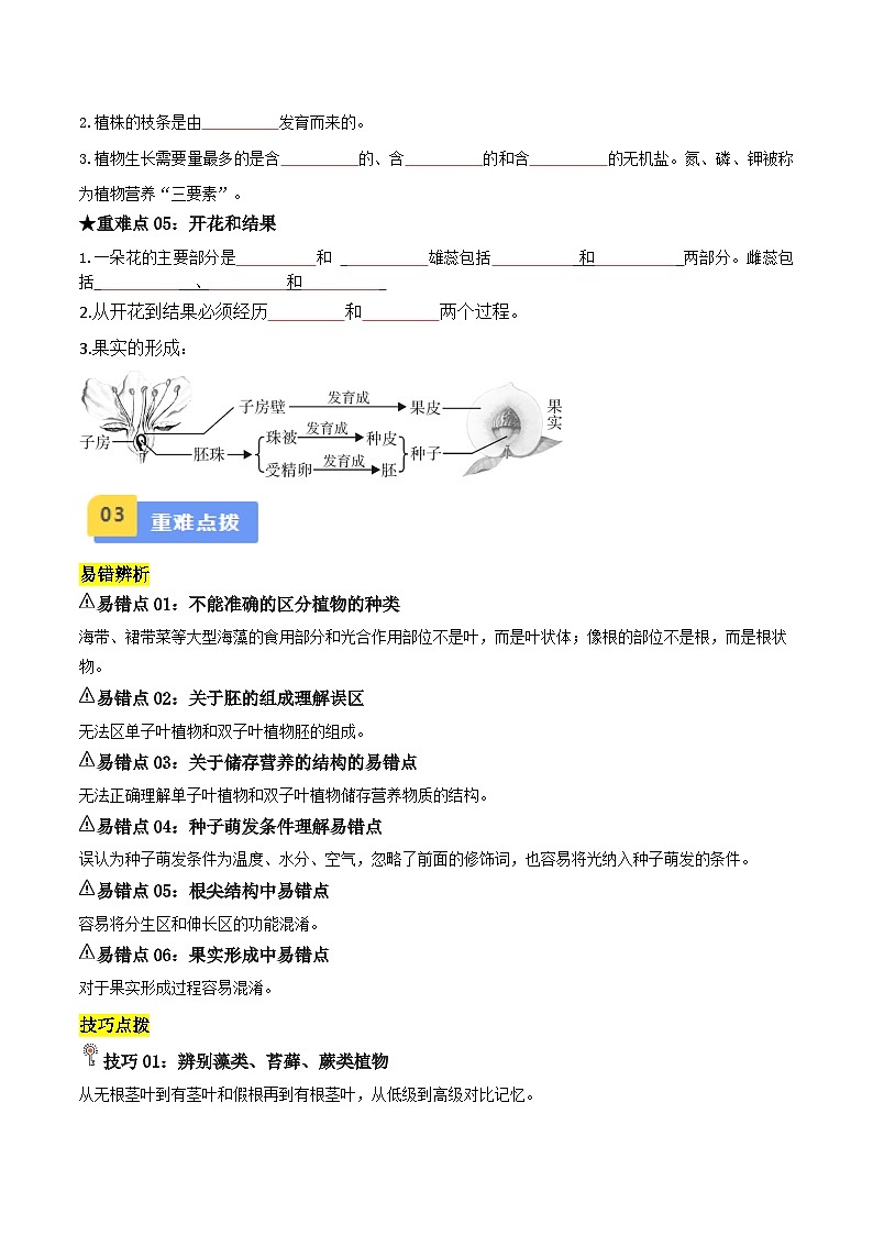 中考生物总复习专题04 绿色开花植物的一生（原卷版）第3页