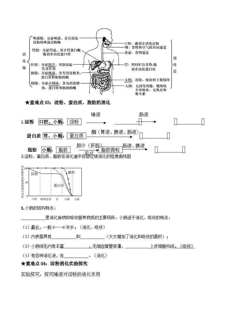 中考生物总复习专题06 人体的营养和呼吸（原卷版）第3页