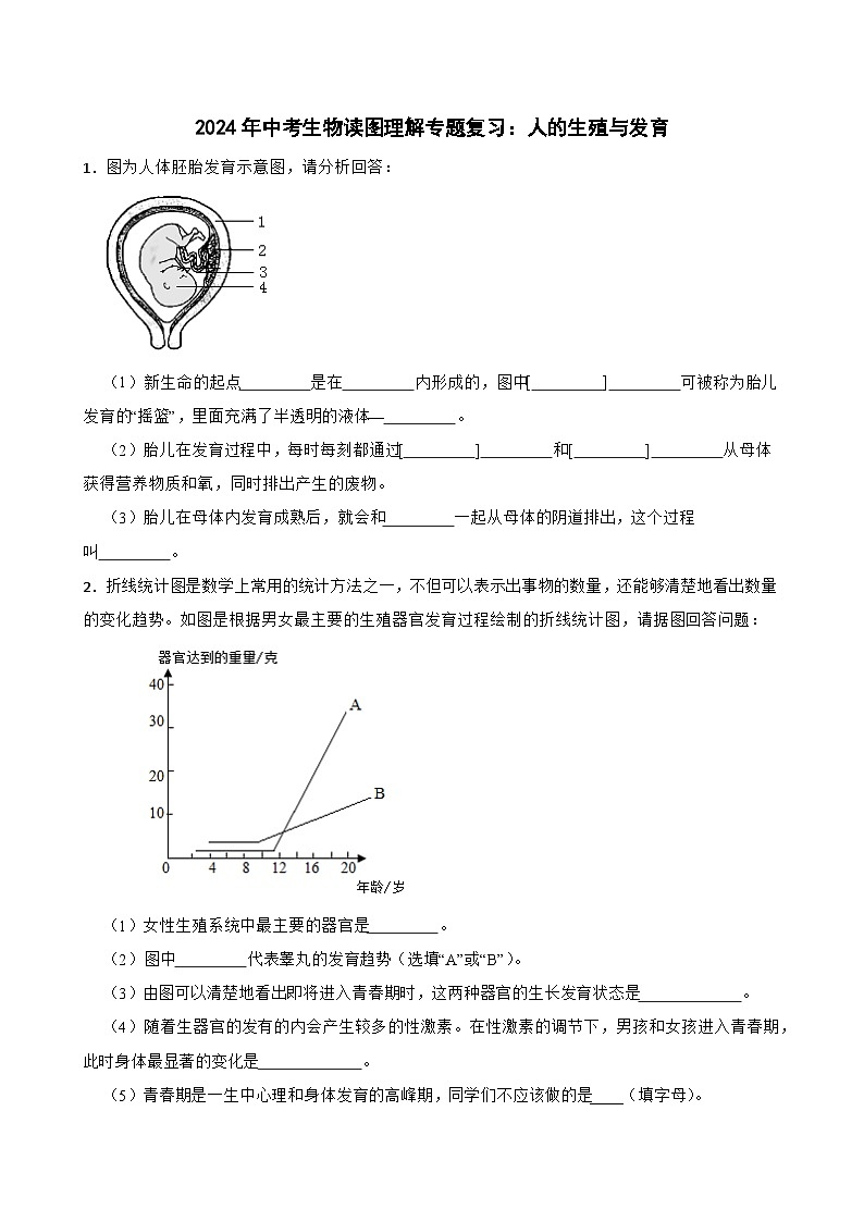 中考生物总复习2024年中考生物读图理解专题复习：人的生殖与发育（含答案）练习第1页