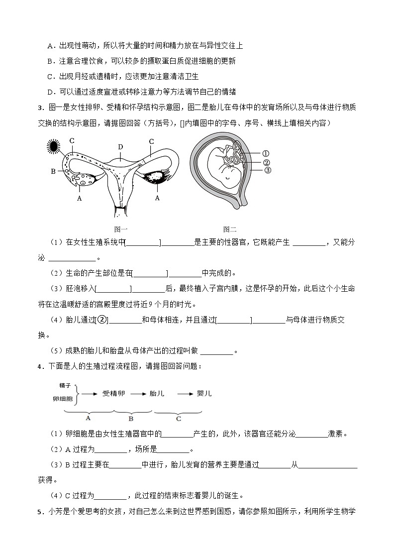 中考生物总复习2024年中考生物读图理解专题复习：人的生殖与发育（含答案）练习第2页