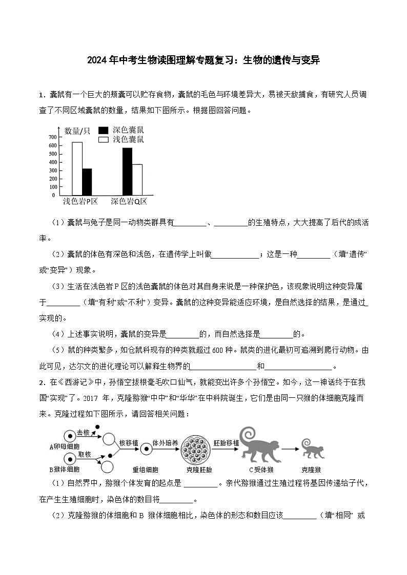 中考生物总复习2024年中考生物读图理解专题复习：生物的遗传与变异（含答案）练习第1页