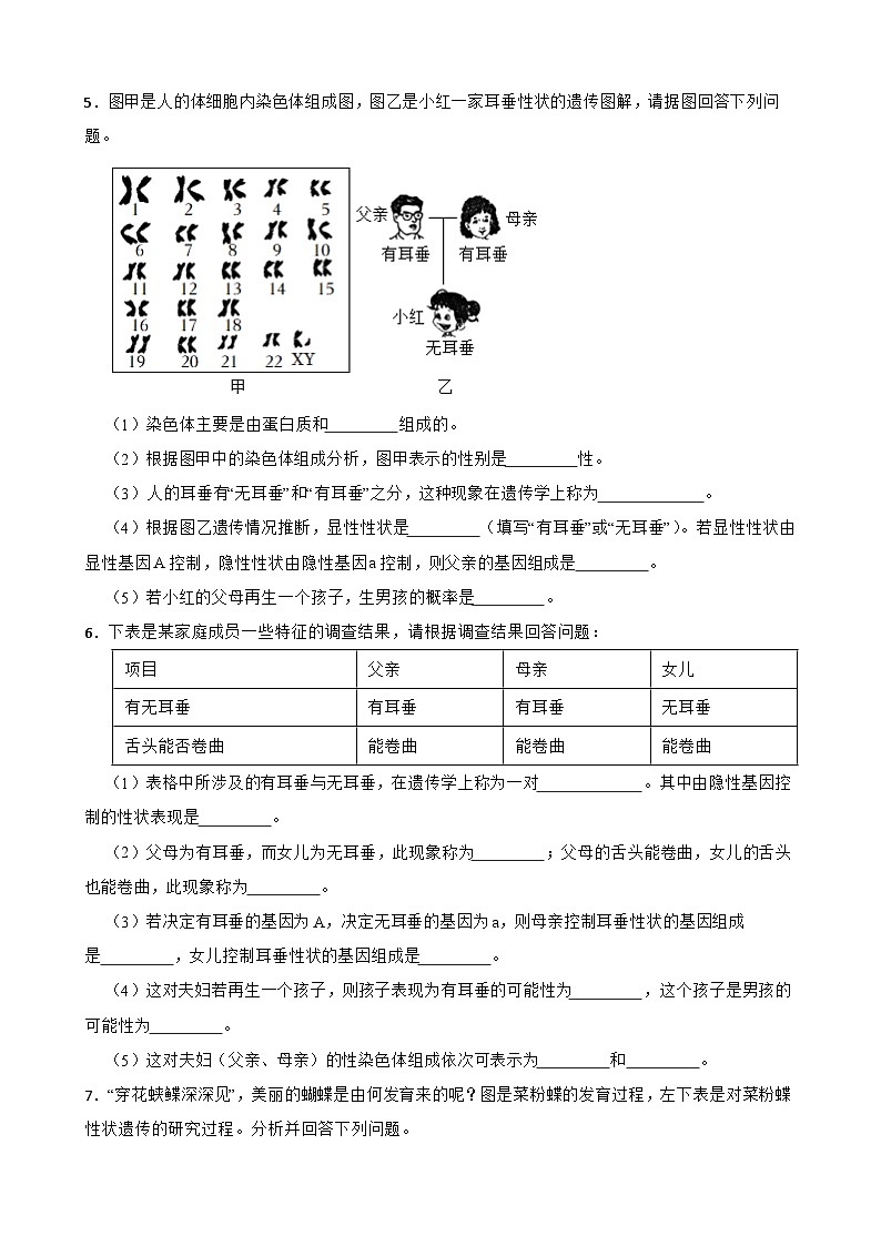 中考生物总复习2024年中考生物读图理解专题复习：生物的遗传与变异（含答案）练习第3页