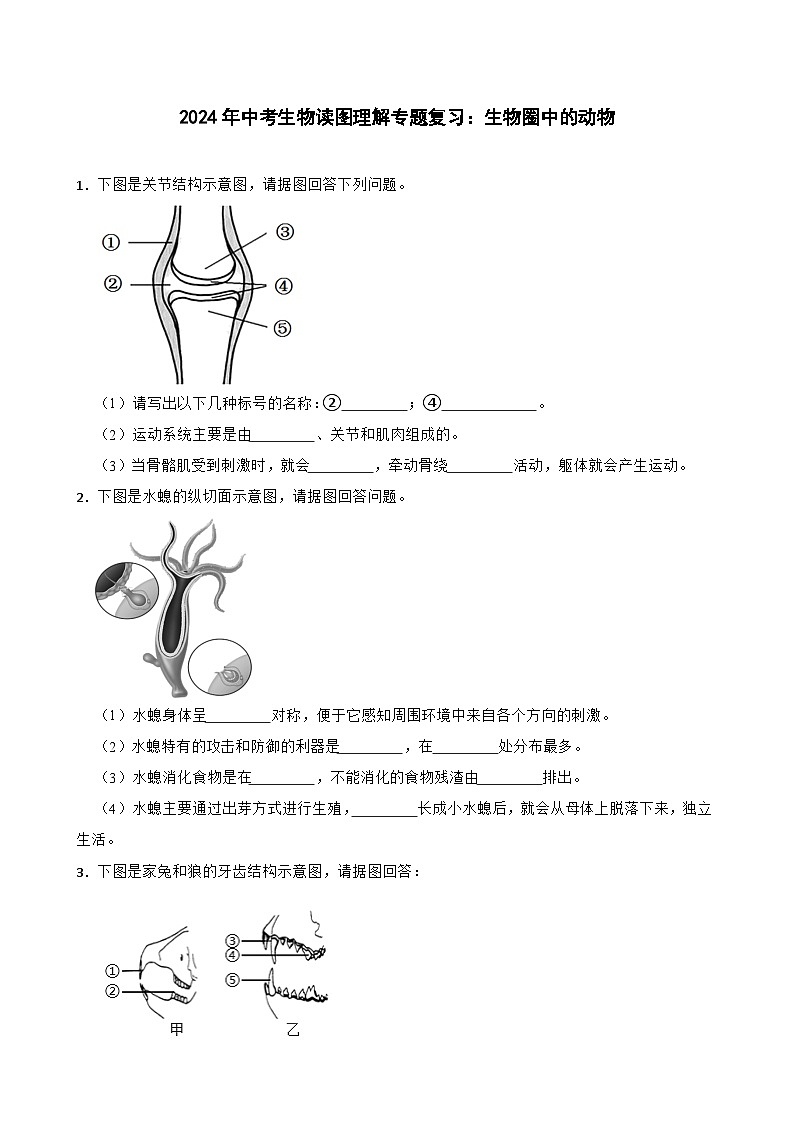 中考生物总复习2024年中考生物读图理解专题复习：生物圈中的动物（含答案）练习第1页