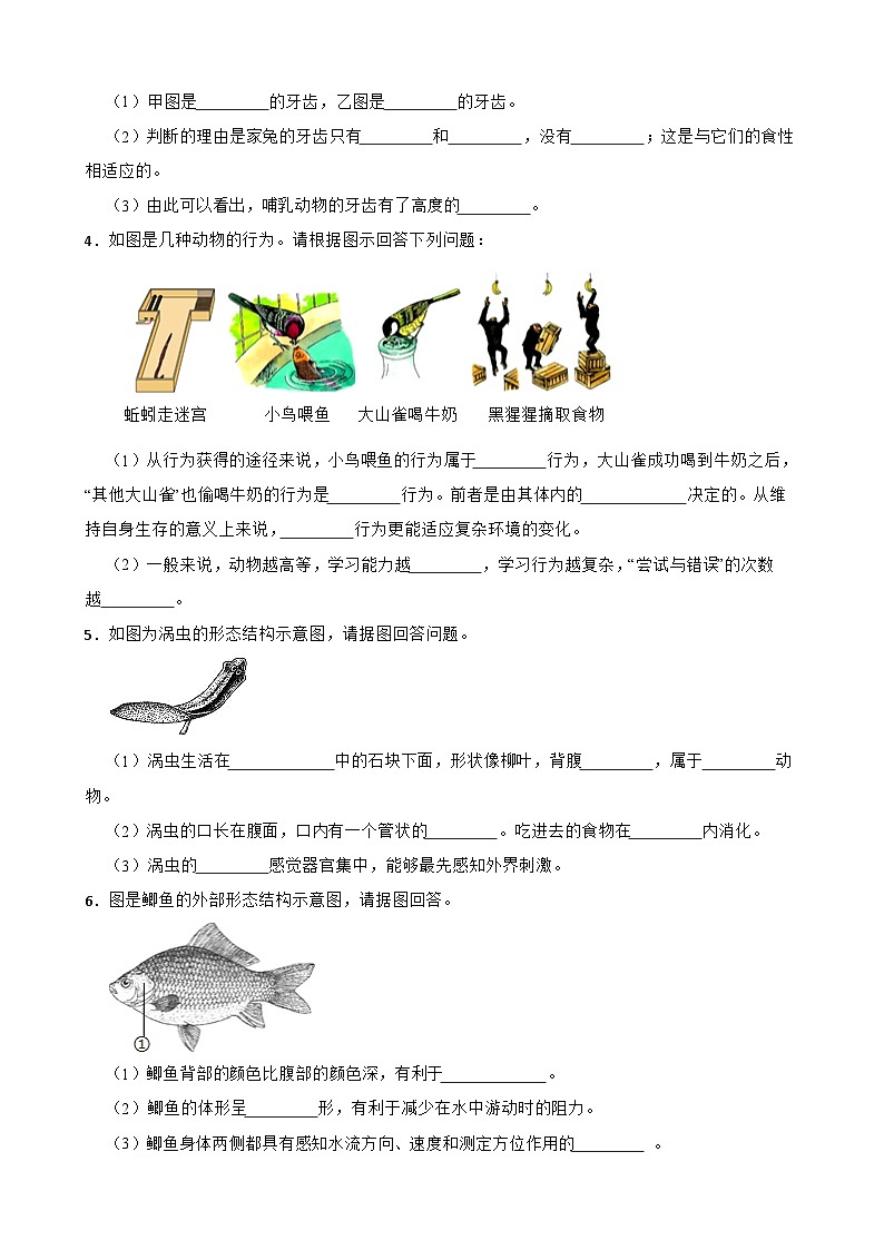 中考生物总复习2024年中考生物读图理解专题复习：生物圈中的动物（含答案）练习第2页