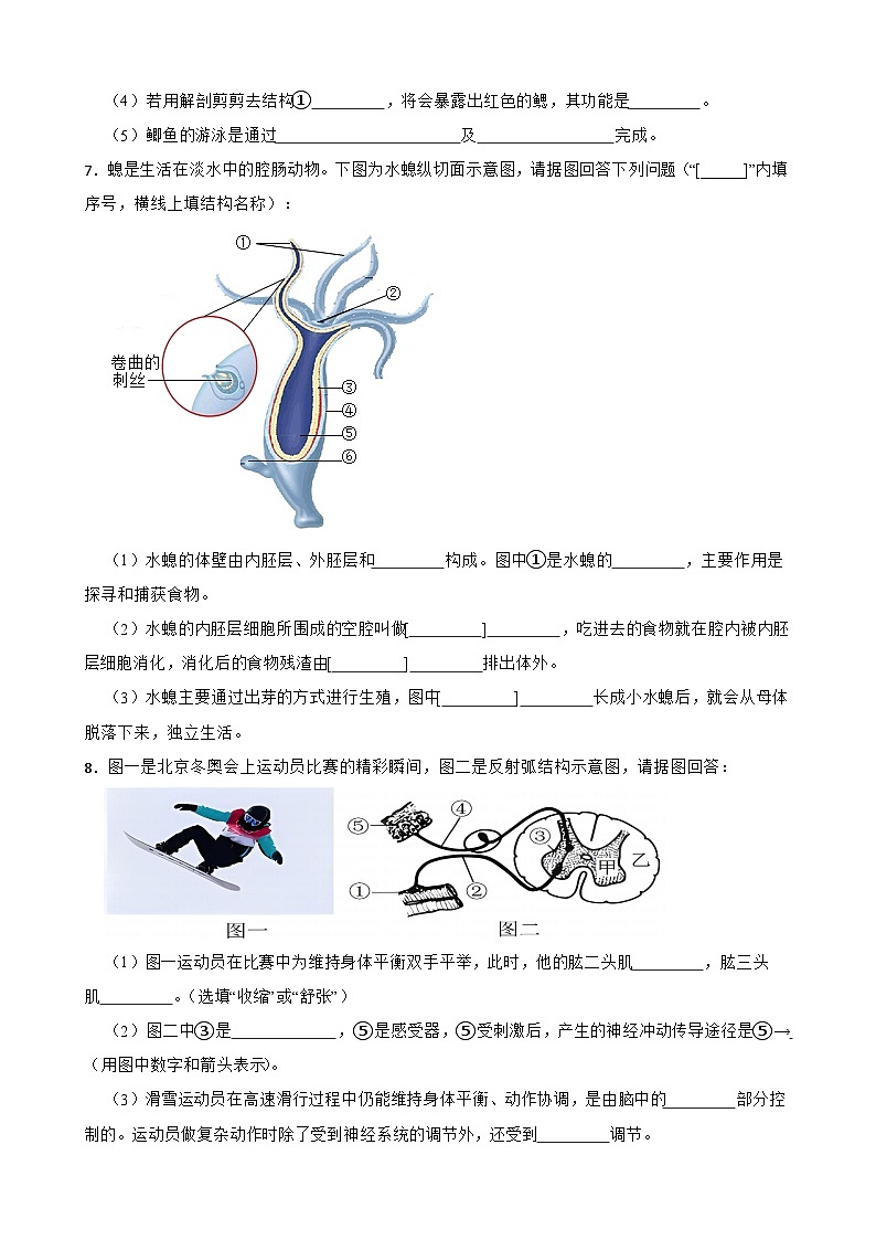 中考生物总复习2024年中考生物读图理解专题复习：生物圈中的动物（含答案）练习第3页