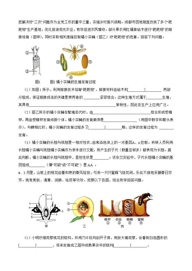 中考生物总复习2024年中考生物读图理解专题复习：生物圈中的绿色植物（含答案）练习第2页