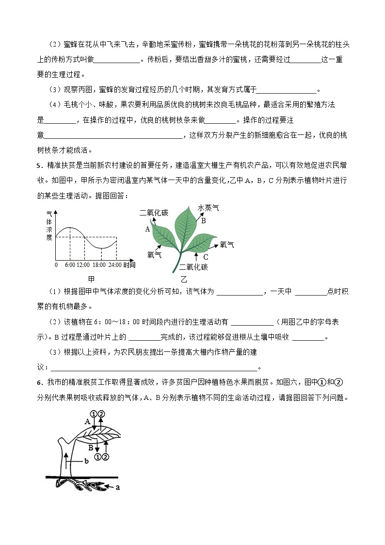 中考生物总复习2024年中考生物读图理解专题复习：生物圈中的绿色植物（含答案）练习第3页