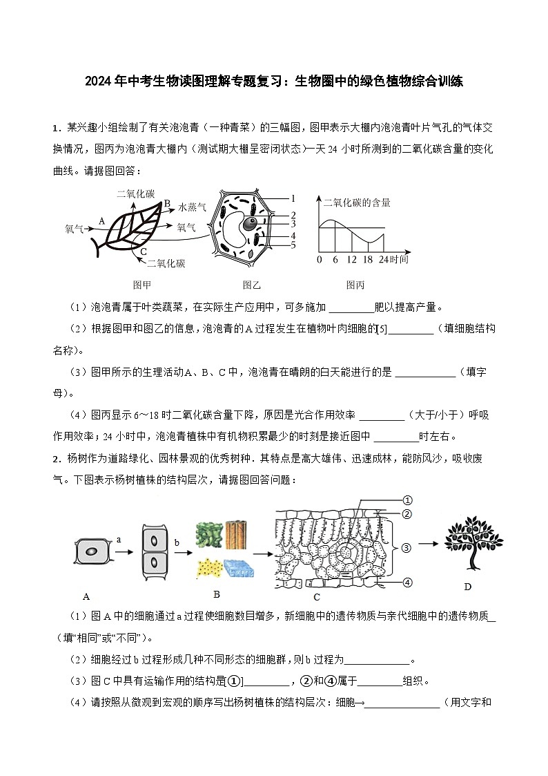中考生物总复习2024年中考生物读图理解专题复习：生物圈中的绿色植物综合训练（含答案）第1页
