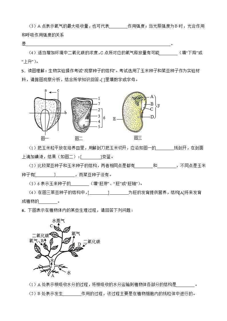 中考生物总复习2024年中考生物读图理解专题复习：生物圈中的绿色植物综合训练（含答案）第3页
