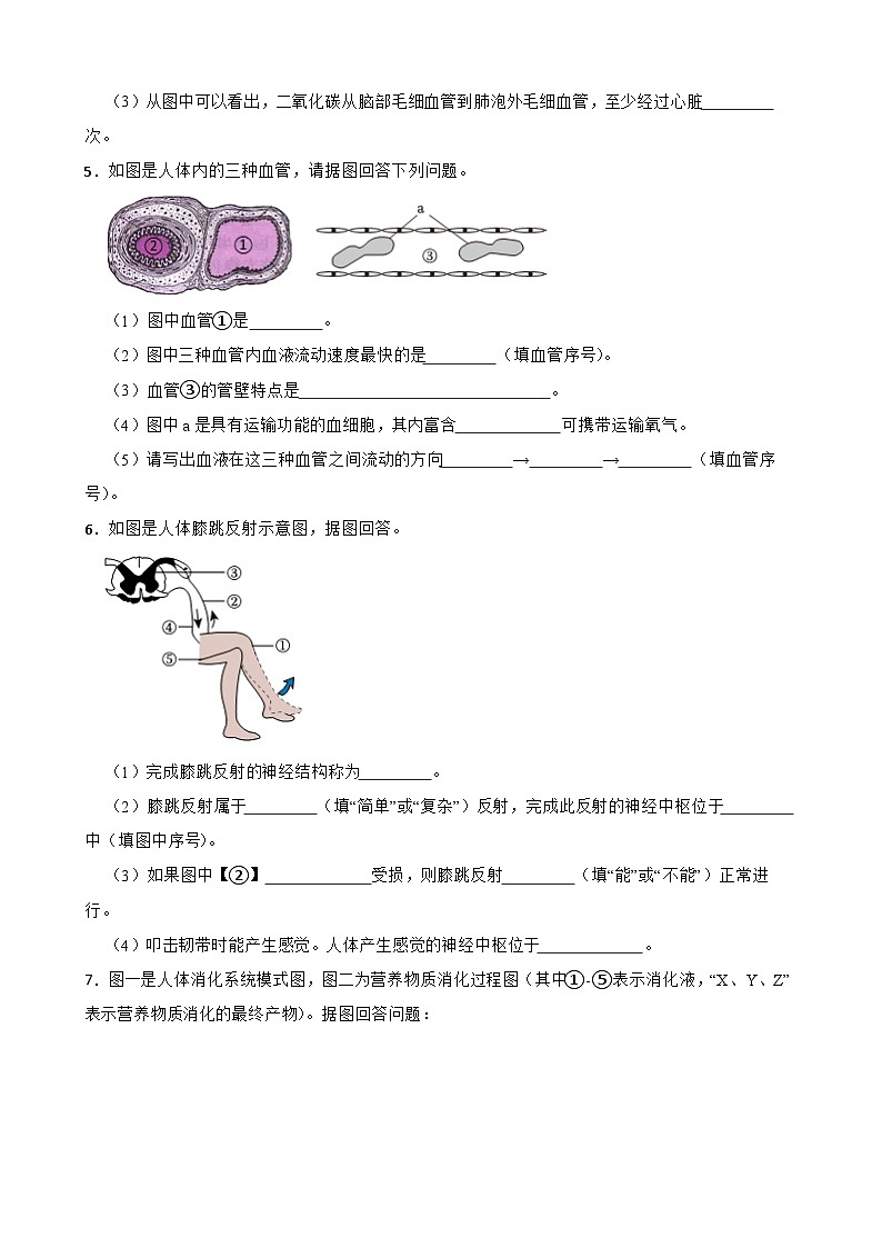 中考生物总复习2024年中考生物读图理解专题复习：生物圈中的人（含答案）练习第3页