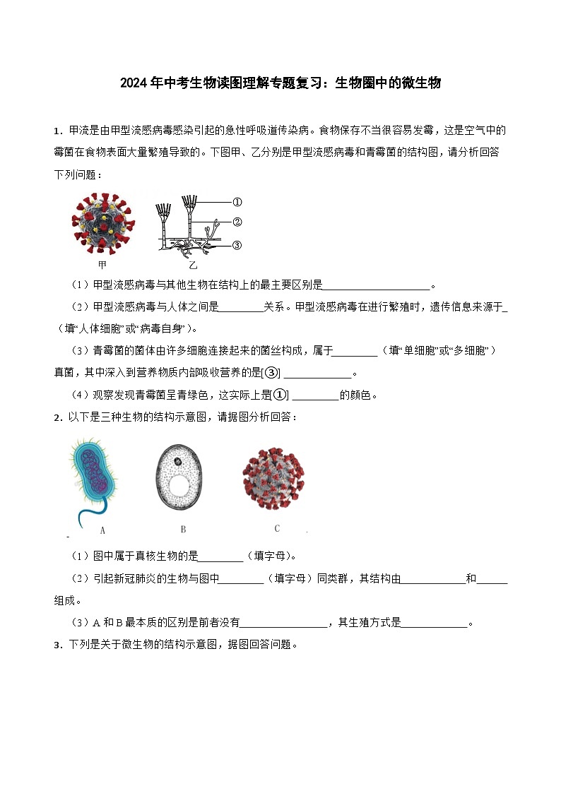 中考生物总复习2024年中考生物读图理解专题复习：生物圈中的微生物（含答案）练习第1页