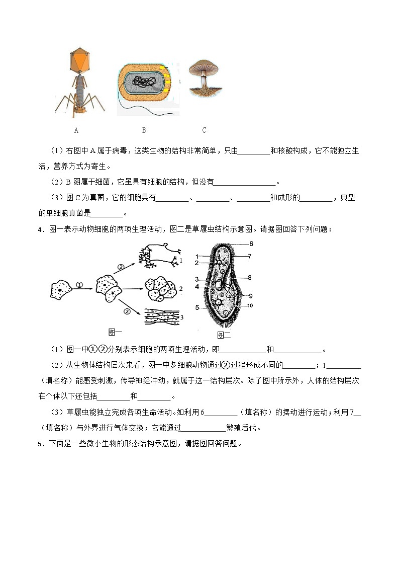 中考生物总复习2024年中考生物读图理解专题复习：生物圈中的微生物（含答案）练习第2页