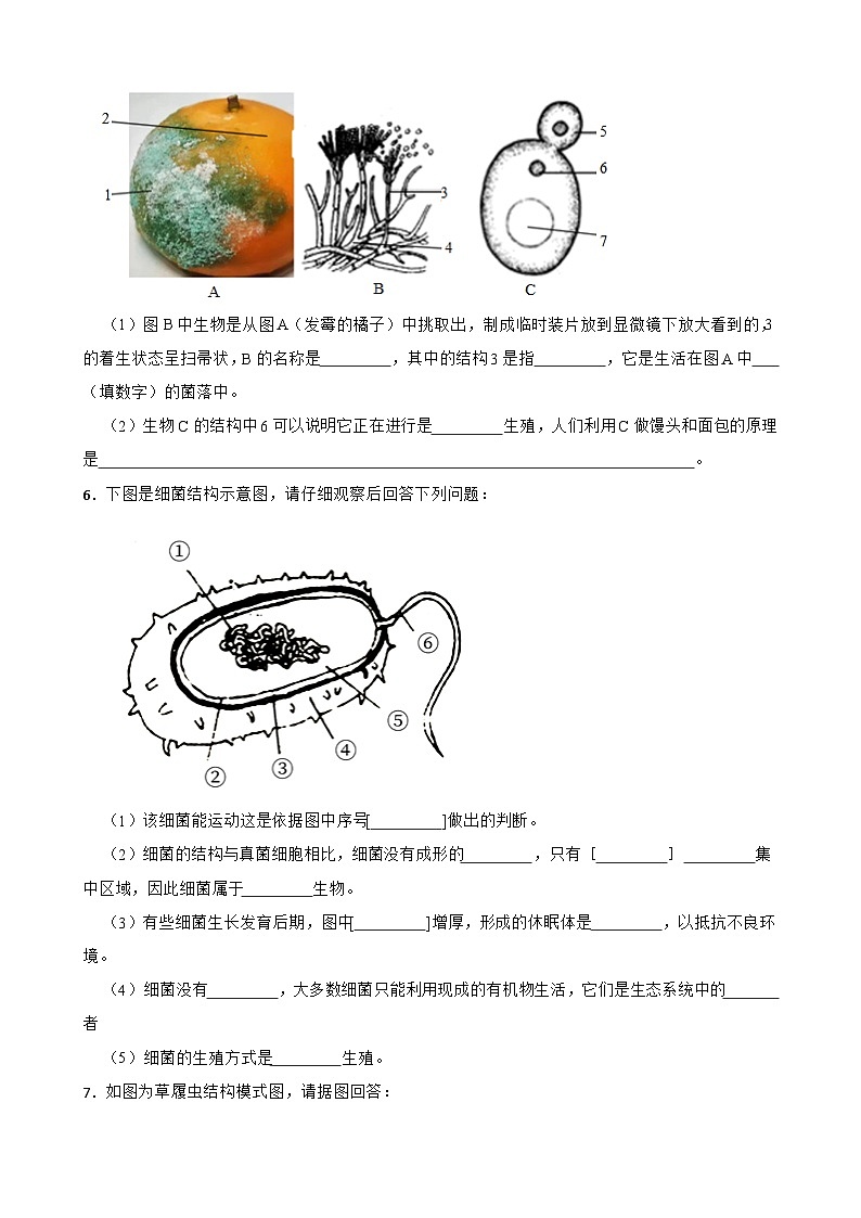 中考生物总复习2024年中考生物读图理解专题复习：生物圈中的微生物（含答案）练习第3页