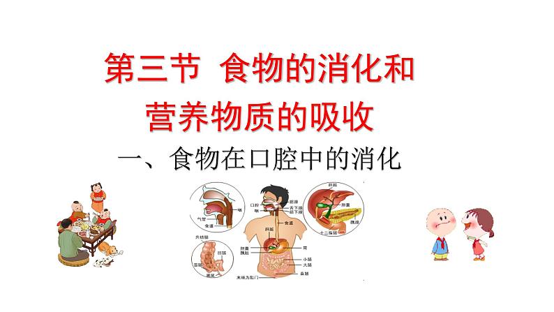 第三节 食物的消化和营养物质的吸收（第1课时）  课件第1页