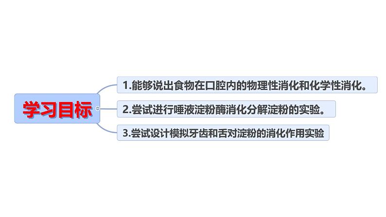 第三节 食物的消化和营养物质的吸收（第1课时）  课件第2页