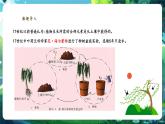 【新教材核心素養(yǎng)】人教版生物七年級下冊3.2.2光合作用（第1課時）（課件+同步教案+導(dǎo)學(xué)案+分層作業(yè)）