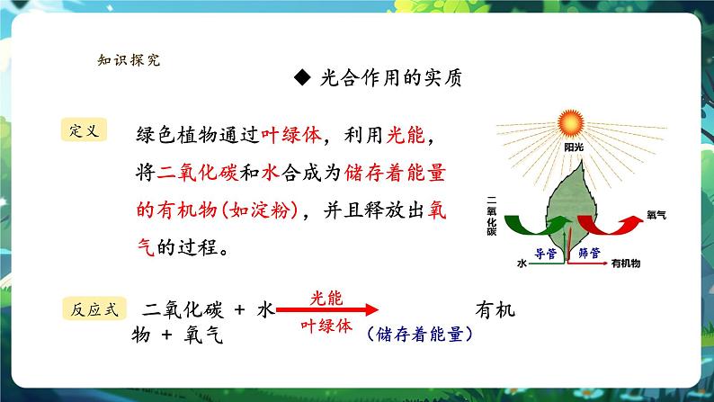 3.2.2光合作用（第二课时）第4页