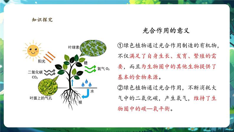 3.2.2光合作用（第二课时）第8页