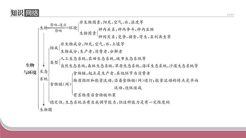 中考生物总复习2024年中考生物二轮复习：专题二生物与环境练习课件PPT第2页