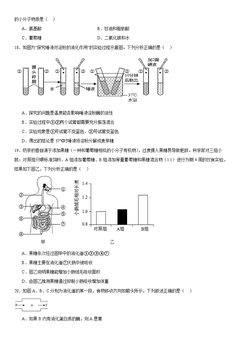 北师大新版2025年七年级下册生物第6章《人体的营养》章末复习卷 含答案第3页