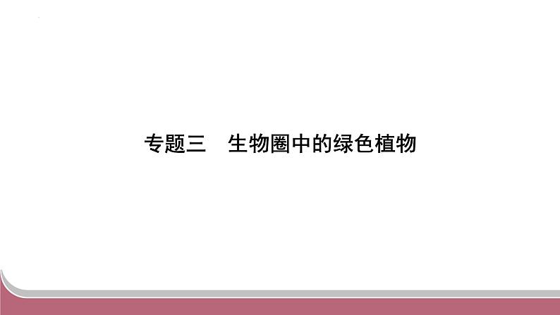 中考生物总复习2024年中考生物二轮复习：专题三生物圈中的绿色植物练习课件PPT第1页