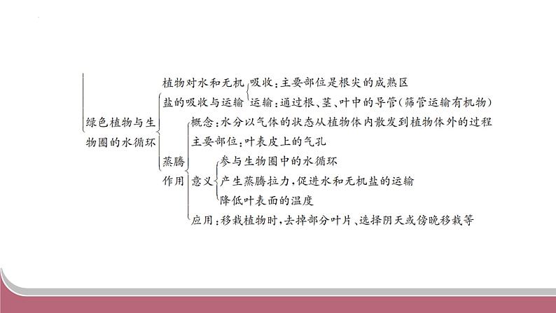 中考生物总复习2024年中考生物二轮复习：专题三生物圈中的绿色植物练习课件PPT第3页