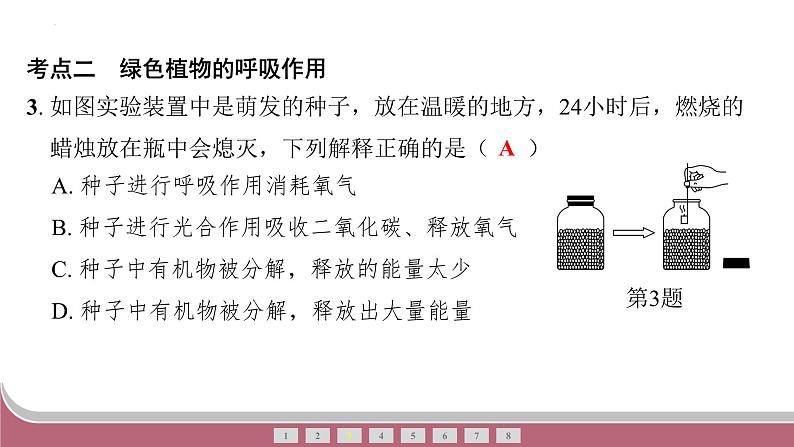 中考生物总复习2024年中考生物二轮复习：专题三生物圈中的绿色植物练习课件PPT第6页