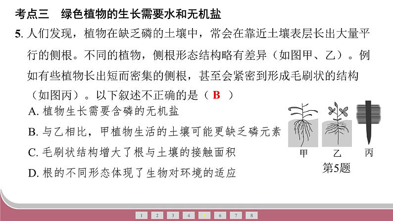 中考生物总复习2024年中考生物二轮复习：专题三生物圈中的绿色植物练习课件PPT第8页