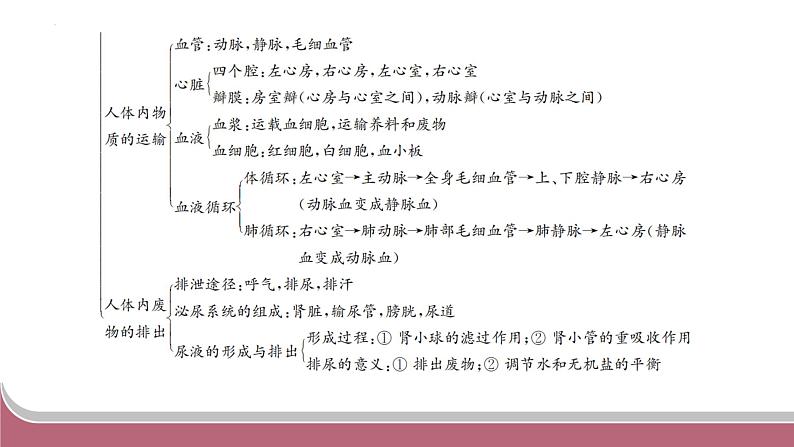 中考生物总复习2024年中考生物二轮复习：专题四生物圈中的人练习课件PPT第3页