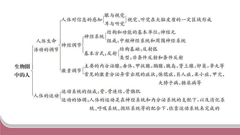 中考生物总复习2024年中考生物二轮复习：专题四生物圈中的人练习课件PPT第4页