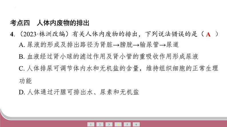 中考生物总复习2024年中考生物二轮复习：专题四生物圈中的人练习课件PPT第8页