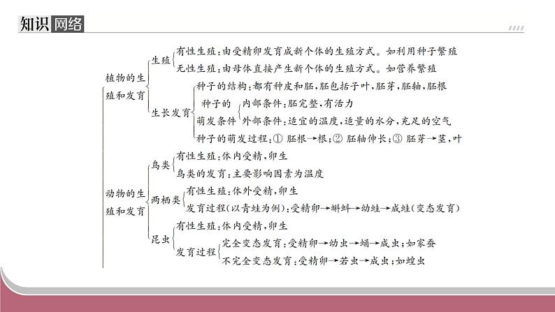 中考生物总复习2024年中考生物二轮复习：专题五生物的生殖、发育与遗传练习课件PPT第2页