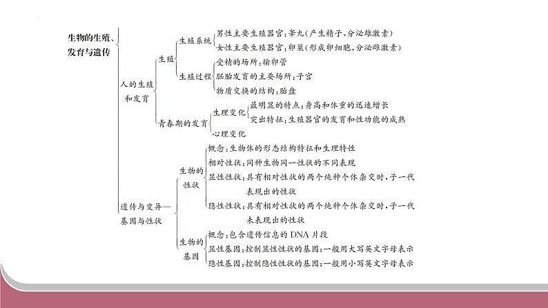 中考生物总复习2024年中考生物二轮复习：专题五生物的生殖、发育与遗传练习课件PPT第3页