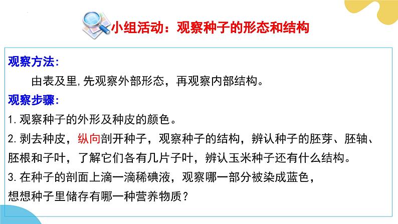 苏科版生物七年级下册 —第十一章 植物的生命周期第1节 种子的萌发（第1课时）PPT课件第6页