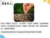 苏科版生物七年级下册 —第十一章 植物的生命周期 第1节 种子的萌发（第2课时）PPT课件