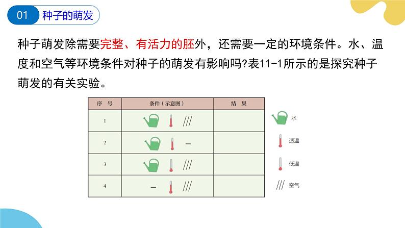 苏科版生物七年级下册 —第十一章 植物的生命周期 第1节 种子的萌发（第2课时）PPT课件第5页