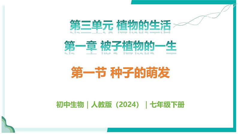 3.1.1 种子的萌发 - 初中生物七年级下册 同步教学课件（人教版2024）第1页