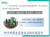 3.1.1 種子的萌發(fā) - 初中生物七年級下冊 同步教學(xué)課件+教學(xué)設(shè)計（人教版2024）