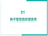 3.1.1 種子的萌發(fā) - 初中生物七年級下冊 同步教學(xué)課件+教學(xué)設(shè)計（人教版2024）