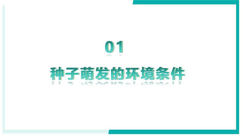 3.1.1 种子的萌发 - 初中生物七年级下册 同步教学课件（人教版2024）第4页