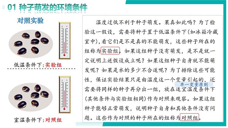 3.1.1 种子的萌发 - 初中生物七年级下册 同步教学课件（人教版2024）第7页