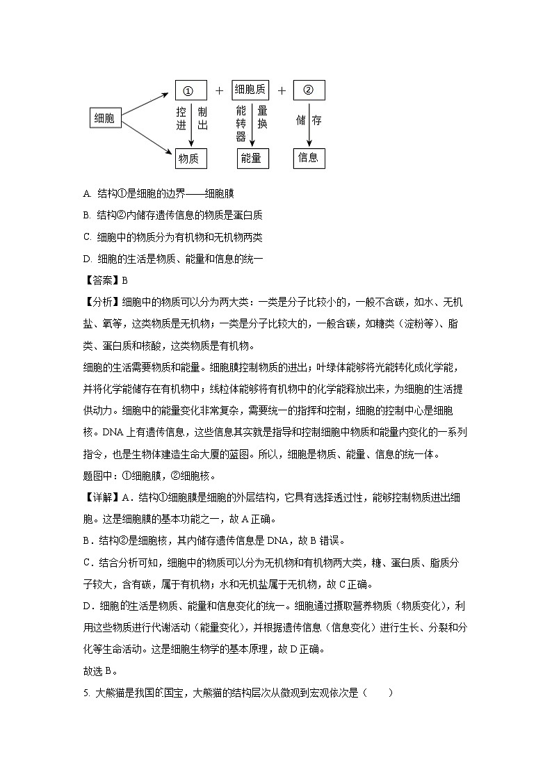 吉林省长春市南关区2024-2025学年七年级上学期期末生物试卷（解析版）第3页