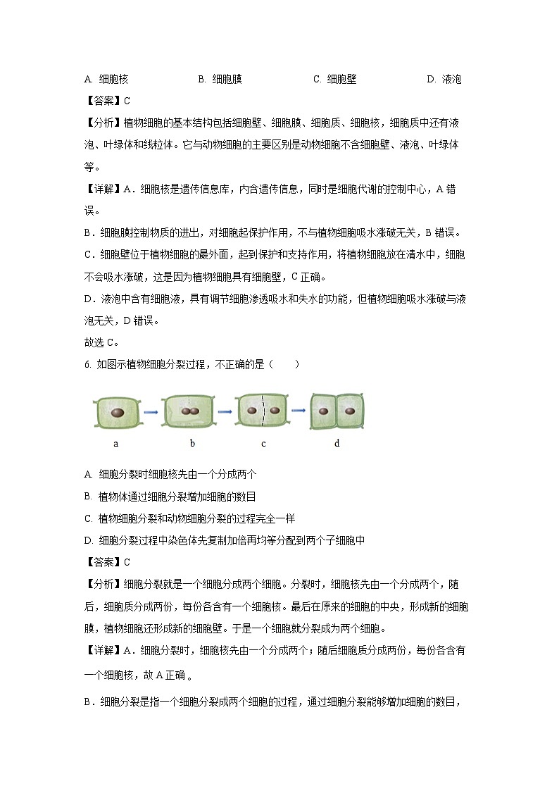 吉林省四平市伊通满族自治县2024-2025学年七年级上学期期末生物试卷（解析版）第3页